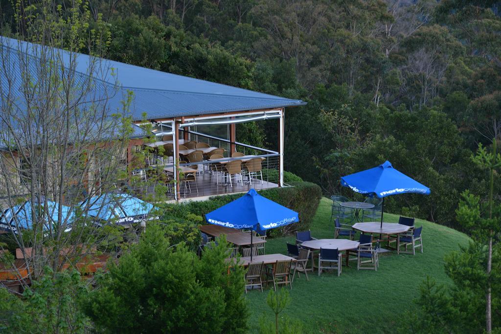 Spring Creek Mountain Cafe & Cottages Killarney Екстериор снимка