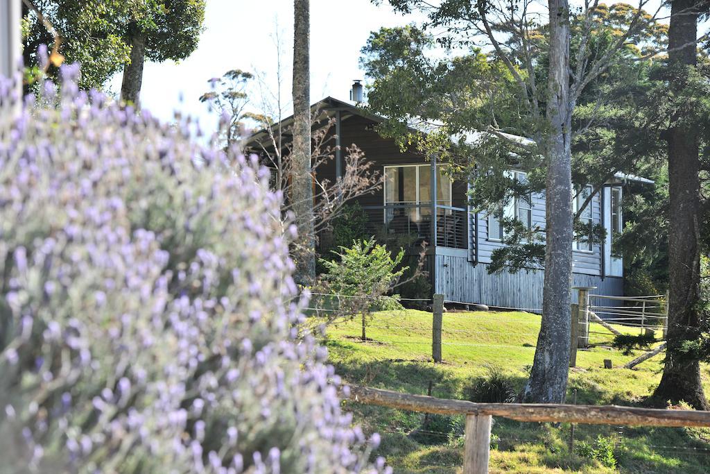Spring Creek Mountain Cafe & Cottages Killarney Екстериор снимка