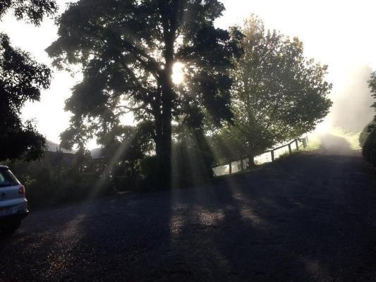 Spring Creek Mountain Cafe & Cottages Killarney Стая снимка