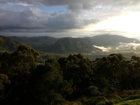 Spring Creek Mountain Cafe & Cottages Killarney Екстериор снимка